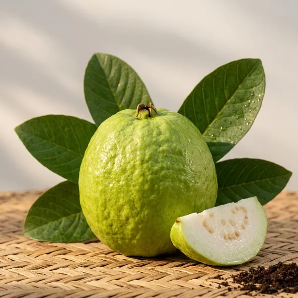 Guava